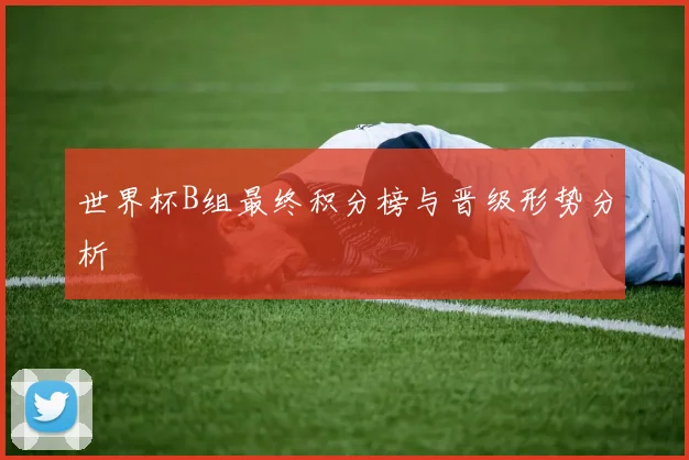 世界杯B组最终积分榜与晋级形势分析
