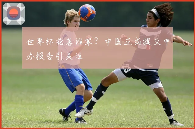 世界杯花落谁家？中国正式提交申办报告引关注
